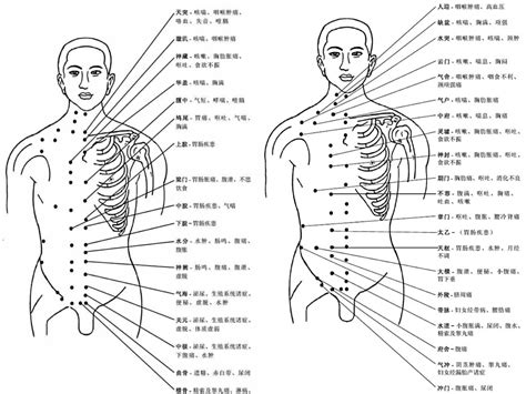 穴位|人体穴位图